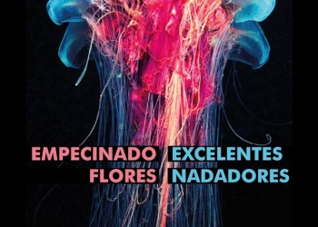 Empecinado Flores y Excelentes Nadadores
