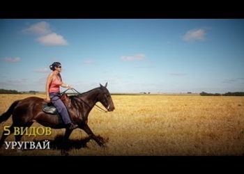 Уругвай, вселенная пейзажей в небольшой точке карты