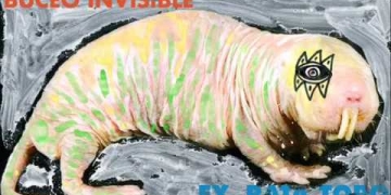 Ey, rata topo de "Buceo Invisible"