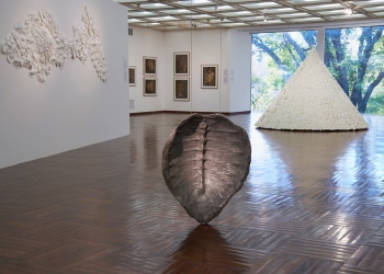 Rimer Cardillo: del Río de la Plata al valle del río Hudson