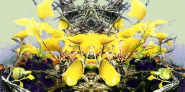 La Ciencia de los Árboles”, el nuevo disco de Fer Henry y Gabriel Araújo