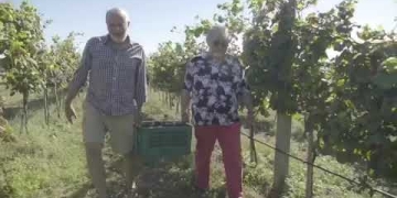 Uruguay entre Viñas para el Mundo