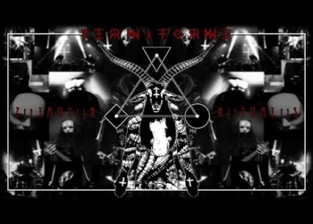 V3RM1F0RM3. Sin miedo a experimentar e innovar.