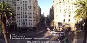 On December 10, 2013, Uruguay became the first nation in the world to comprehensively regulate the marihuana market. This decision came to be a milestone in the history of drug policy and may entail a definite global progress in terms of human rights and individual freedom. Cannabis in Uruguay is a documentary that illustrates the political, social and cultural circumstances in the country to take this step forward and bring this innovative proposal