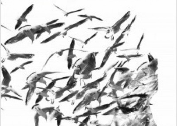 Un catálogo de la ausencia