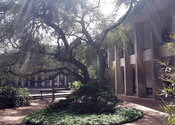 facultad-de-arquitectura diseño y urbanismo de uruguay - foto federico meneses