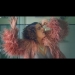 #SamanthaNavarro #PulsoRedentor #Videoclip SAMANTHA NAVARRO – Pulso Redentor [ Videoclip ]