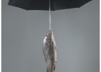 Premio Paul Cézanne