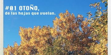 Las cuatro estaciones de los sentidos El nuevo proyecto de Diego Drexler