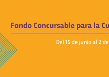 Fondo Concursable para la Cultura Se postula un único proyecto dentro de una de las siete categorías que integran la convocatoria: Artes visuales Fotografía Danza Teatro, arte circense y títeres Música Videojuegos Propuestas editoriales