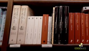 don quijote de la mancha- imagen de biblioteca - librería mundos invisibles - foto © federico meneses www.cooltivarte.com