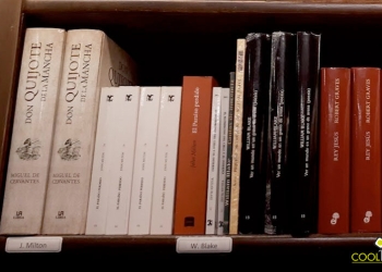 don quijote de la mancha- imagen de biblioteca - librería mundos invisibles - foto © federico meneses www.cooltivarte.com