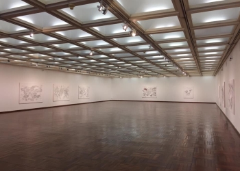 Equilibrios - Andrea Finkelstein en MNAV - agosto 2020 - Daniel Benoit Cassou