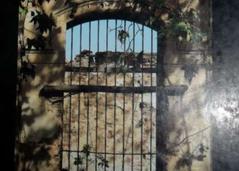 UNA VENTANA PARA EL PAJARO - DINA DIAZ