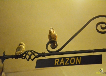 razón - libreria mundos invisibles octubre 2019 foto federico meneses