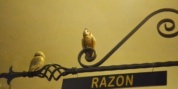 razón - libreria mundos invisibles octubre 2019 foto federico meneses