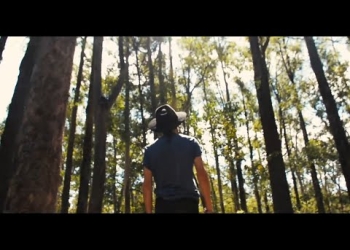 ¿Dónde Estás? El Gavilán / El Gavilán y Los Verde