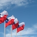Chile flags in Puerto Montt