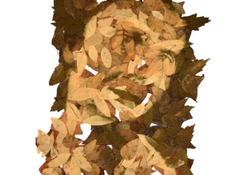 CARMELA - Fede Ruiz Santesteban