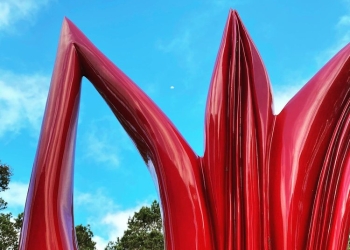 Una Flor en Plaza Independencia