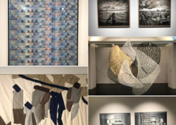 50 PREMIO MONTEVIDEO DE ARTES VISUALES por Daniel Benoit Cassou