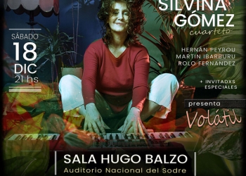 Silvina Gómez presenta Volátil en sala Hugo Balzo