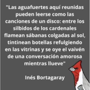 Inés Bortagaray