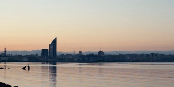 turista pedro restuccia