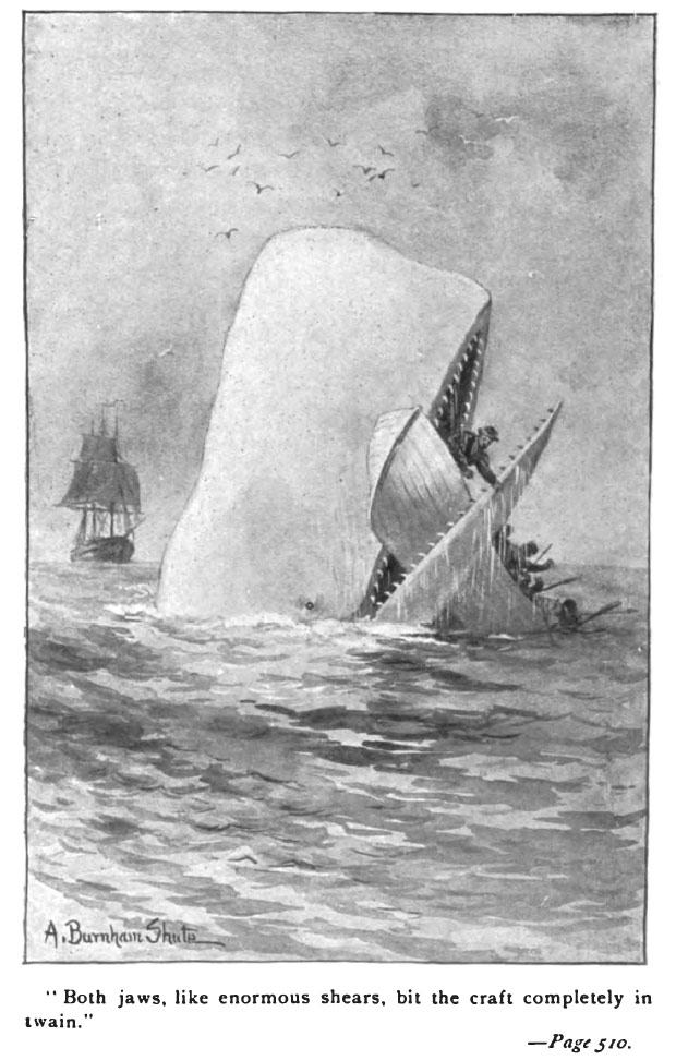 Ilustración de Moby Dick, en una edición de la novela de 1892