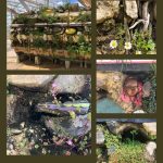 Recorriendo Exposiciones ADRIÁN VILLAR ROJAS por Daniel Benoit Cassou