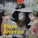 PLEXOAMÉRICA