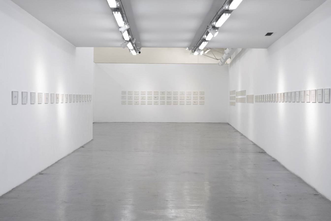 El artista recolectó en persona las firmas de artistas críticos curadores y galeristas vivos incluidos en esta muestra El artista recolectó en persona las firmas de artistas críticos curadores y galeristas vivos incluidos en esta muestra