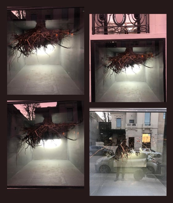 Recorriendo Exposiciones ÁLVARO ZINNO por Daniel Benoit Cassou