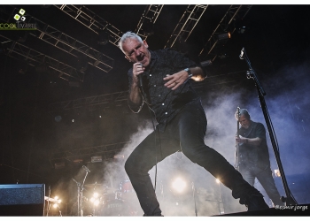 Buitres - Después de 2 años - Parque Roosvelt Buitres - Febrero 2022 - Foto Esmir Jorge