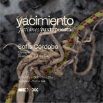 Yacimiento - ficciones yuxtapuestas - Sofía Córdoba - Texto curatorial - Fernando López Lage