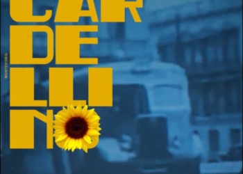 Cardellino - Montevideo