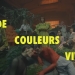 Zaz - De couleurs vives
