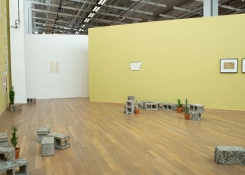 Los territorios de Ana Tiscornia