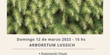 Baño de Bosque en Arboretum Lussich - 12 de Marzo - 15 hs