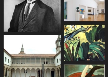 Descubriendo Museos - MUSEO AMADEO DE SOUZA - CARDOSO por Daniel Benoit Cassou