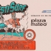 FESTI SURF - VOL.8 - 25 de Febrero - Plaza Mateo