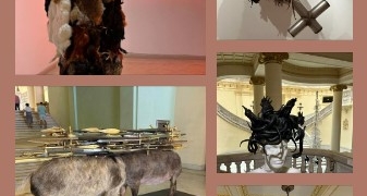 Recorriendo Exposiciones MEDUSA’S HOPE por KOEN VANMECHELEN por Daniel Benoit Cassou