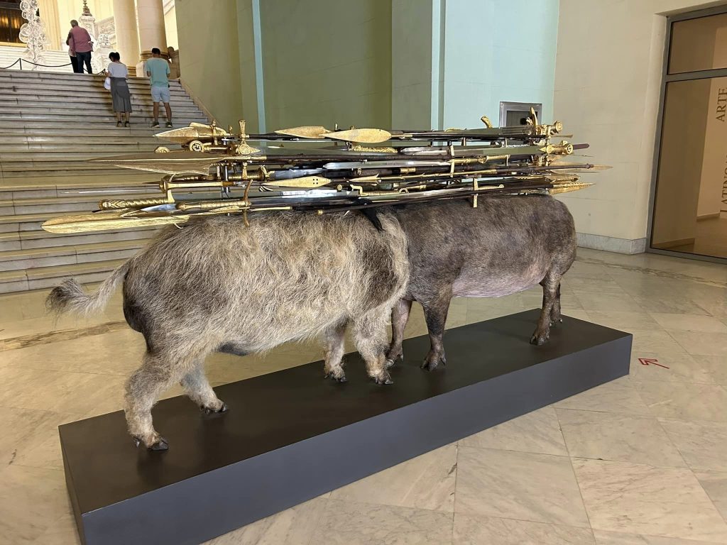 Recorriendo Exposiciones MEDUSAS HOPE por KOEN VANMECHELEN por Daniel Benoit Cassou