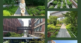 THE HIGH LINE por Daniel Benoit Cassou