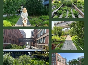 THE HIGH LINE por Daniel Benoit Cassou