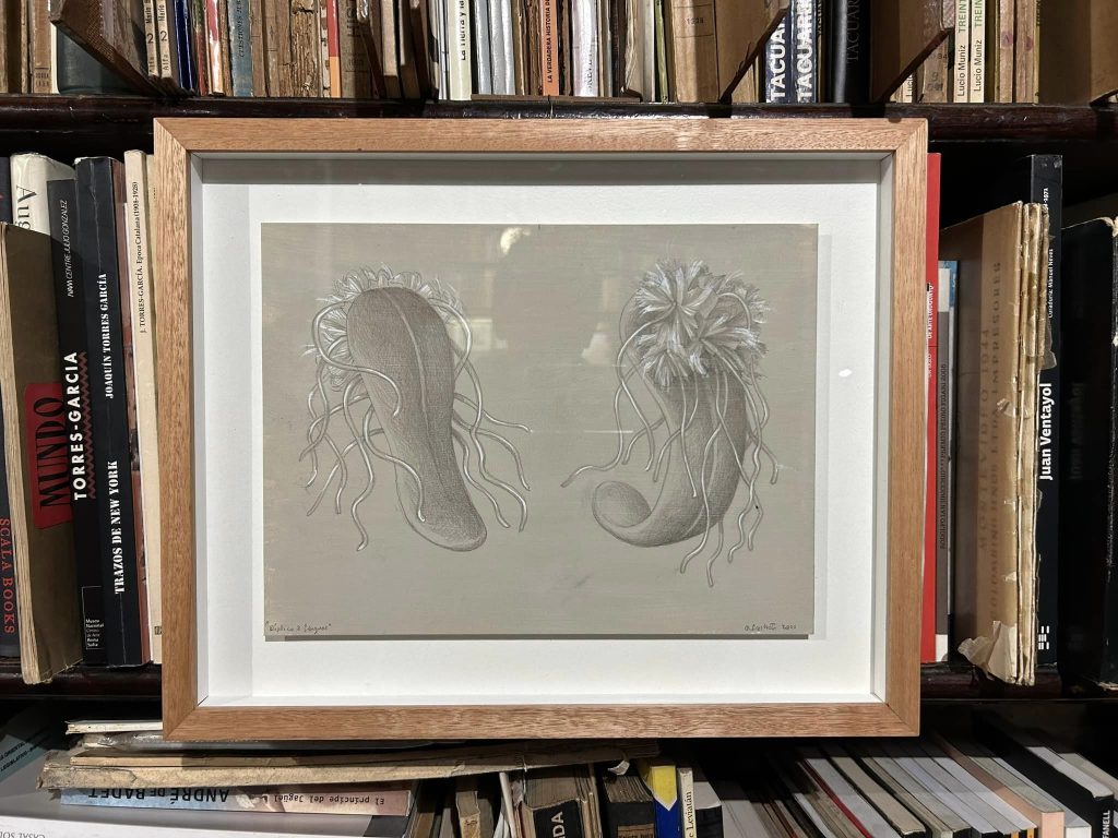 Recorriendo ExposicionesALBERTO LASTRETO por Daniel Benoit Cassou 