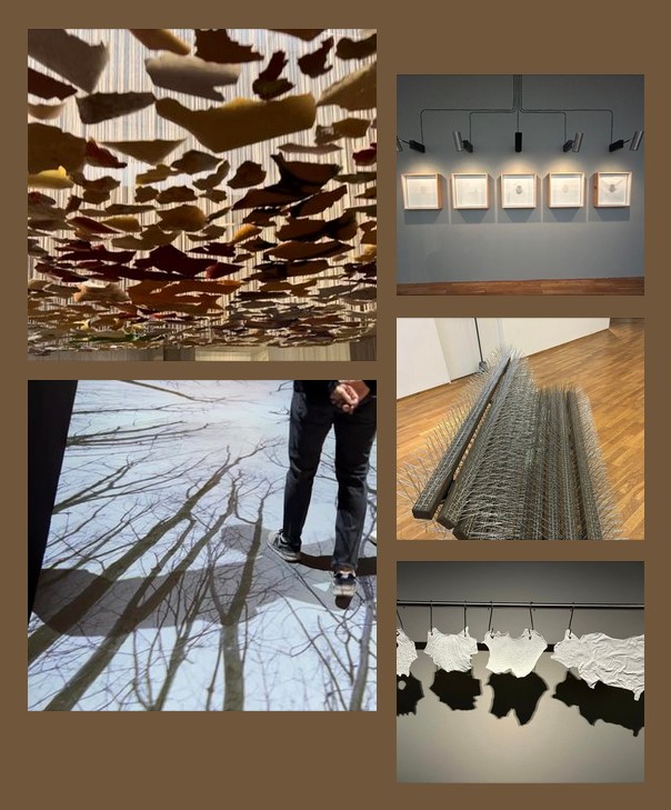 Recorriendo Exposiciones NADIA KABBI-LINKE por Daniel Benoit Cassou Recorriendo Exposiciones NADIA KABBI-LINKE por Daniel Benoit Cassou