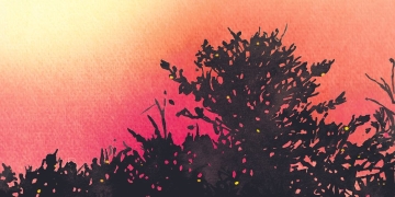 Passenger presenta la edición del 10º aniversario de 'All The Little Lights'