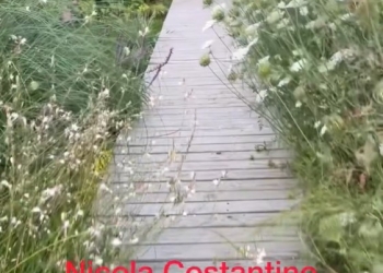 NICOLA COSTANTINO en Espacio Foto Arte por Daniel Benoit Cassou