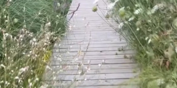 NICOLA COSTANTINO en Espacio Foto Arte por Daniel Benoit Cassou